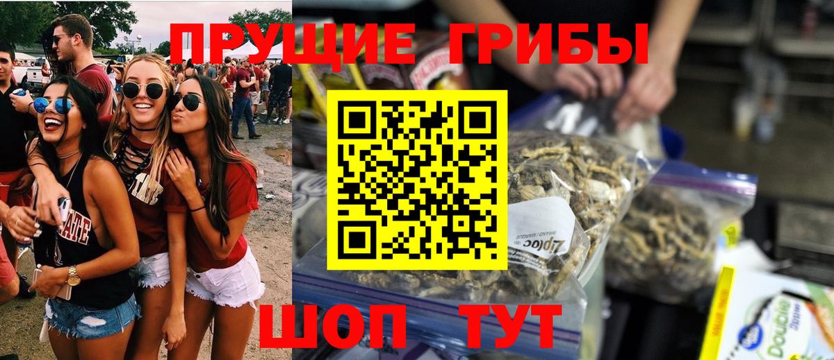 Псилоцибиновые грибы прущие грибы Ессентуки