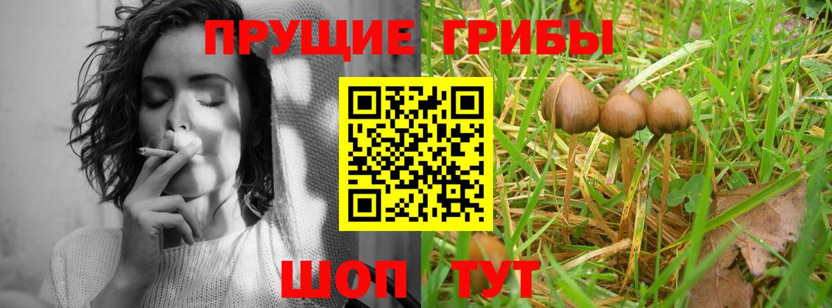 Галлюциногенные грибы MAGIC MUSHROOMS  Вход с VPN  Ессентуки  Псилоцибиновые грибы Magic Shrooms 