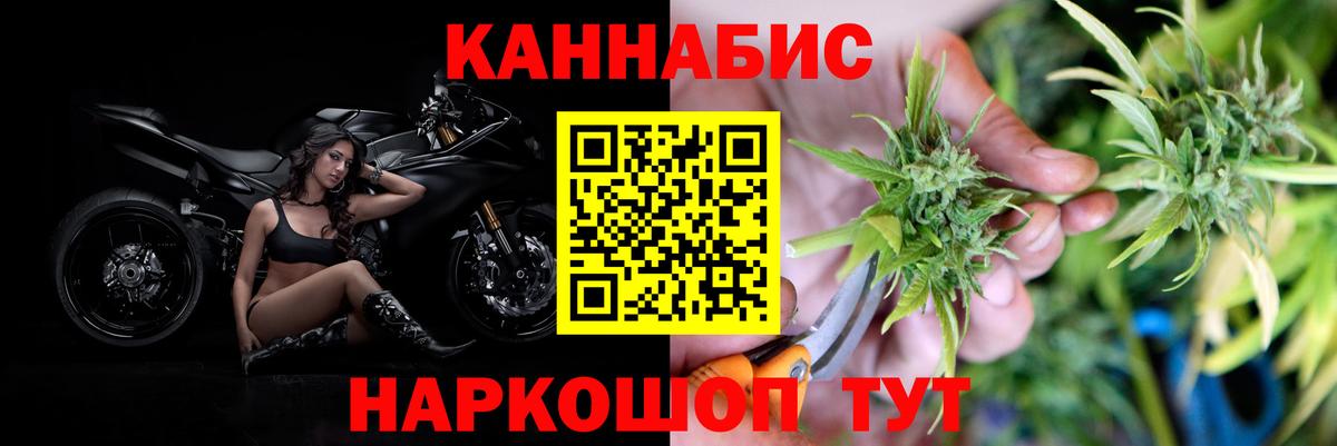 Бошки марихуана AK-47 Ессентуки