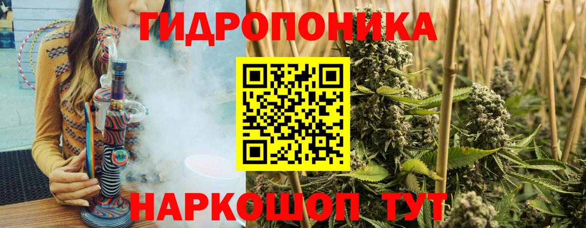 МАРИХУАНА ГИДРОПОН  Бошки Шишки THC 21%  Ессентуки  Вход с VPN  Конопля VHQ 